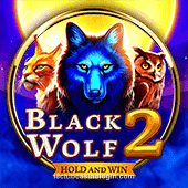 Blackwolf2 Slot Game Image